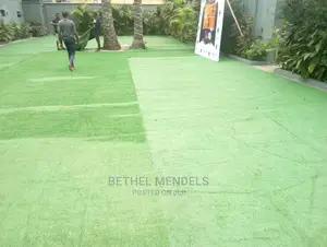 Natural Green Artificial Grass For Rent At Victoria Island
