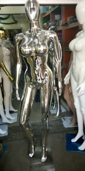 Busty Silver Female