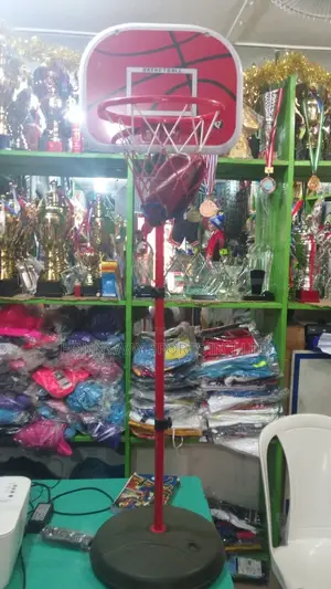 Children Basketball Upright Stand With Pump Nd Balls