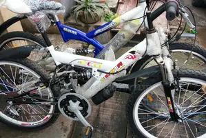 Size 25 Adult Riding Bike