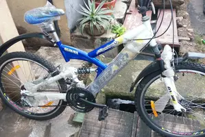 Adult Size 25 Riding Bike