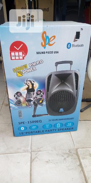 High Quality 15inches Sound Peace Public Address (Pa) System