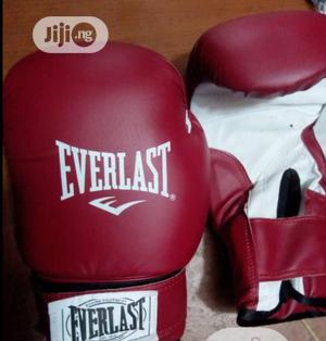 Everlast Boxing Glove