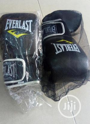 Everlast Boxing Glove