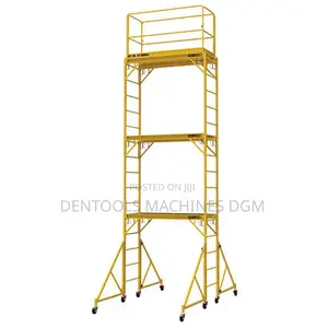 Steel Scaffold Ladder