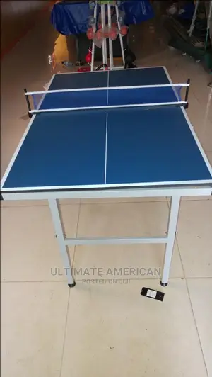 American Brand Imported Children Table Tennis Board Indoor
