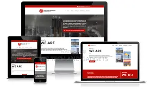 Professional Website Design and Development Servives