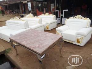  Animal Skin Leather Sofas