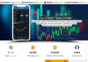 Website Design Within 24hrs