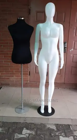 White Faceless Female