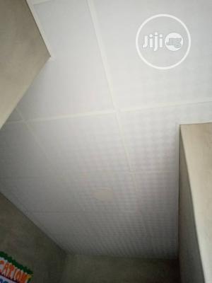 Ceiling Work