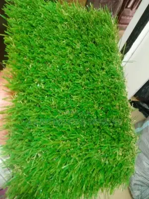 Artificial Grass
