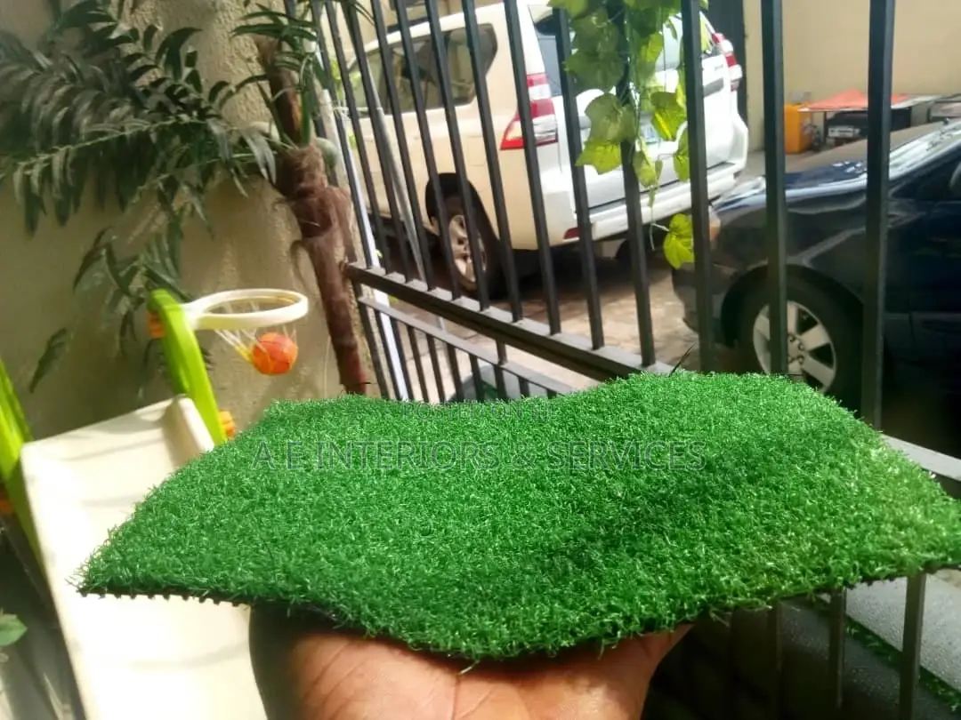 Artificial Grass
