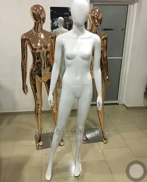 All Types of Mannequins