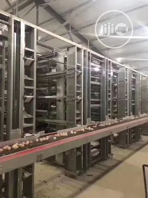 China Factory Automatic Modern Chicken Farm Poultry Farm