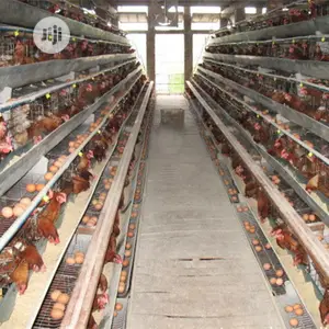 China Factory Best Battery Cage Hot Galvanized Poultry Cage