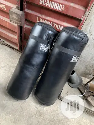 Everlast Punching Bag