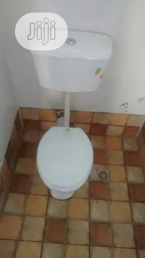Top Flush Hanging WC