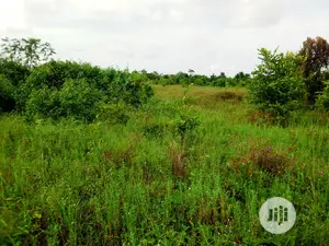 This Lands Is Acres of Land at Dangote Refinery Areas With Gazetted