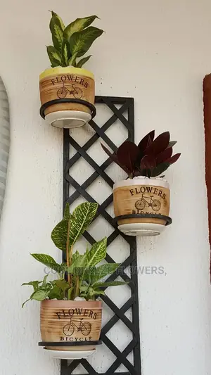 Lanscaping