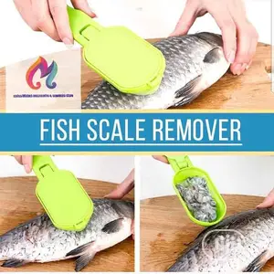 Fish Scale Remover