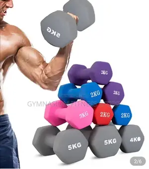 Pair of 5kg Dumbbell Vinyl 66