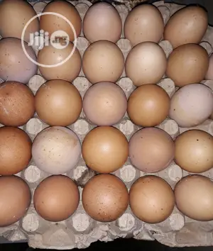 Eggs in Crates