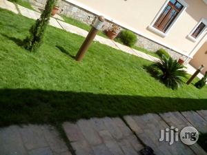 Success Flowers and Landscaping Services