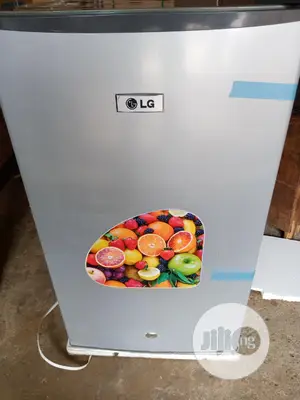 100l Lg Fridge (Strong and Reliable)