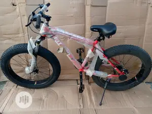 American Fitness Big Tyre Bicycle