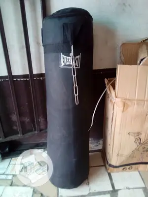American Fitness Punching Bag
