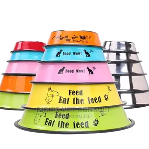 Antiskid Stainless Pet Feeding Bowl