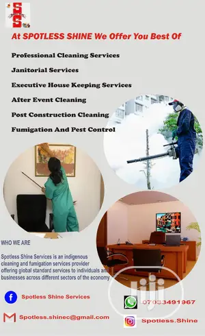 Lagos Best Bed Bugs Fumigation