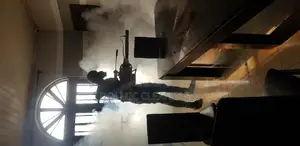 Professional Bedbug Exterminator