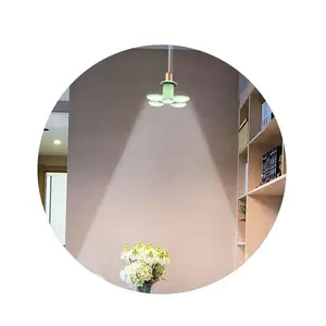 Multi Direction LED AC/DC Rechargeable Light - Ball Lamp