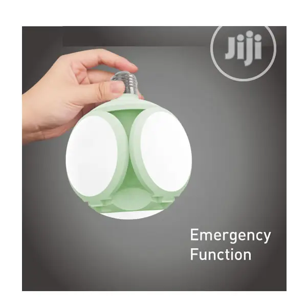 Multi Direction LED AC/DC Rechargeable Light - Ball Lamp