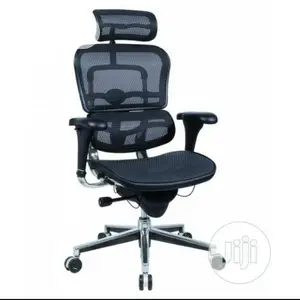Office Chair/ Orthopedic Chair