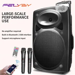 Rechargeable PA With Bluetooth, USB, 2 Wireless Mic