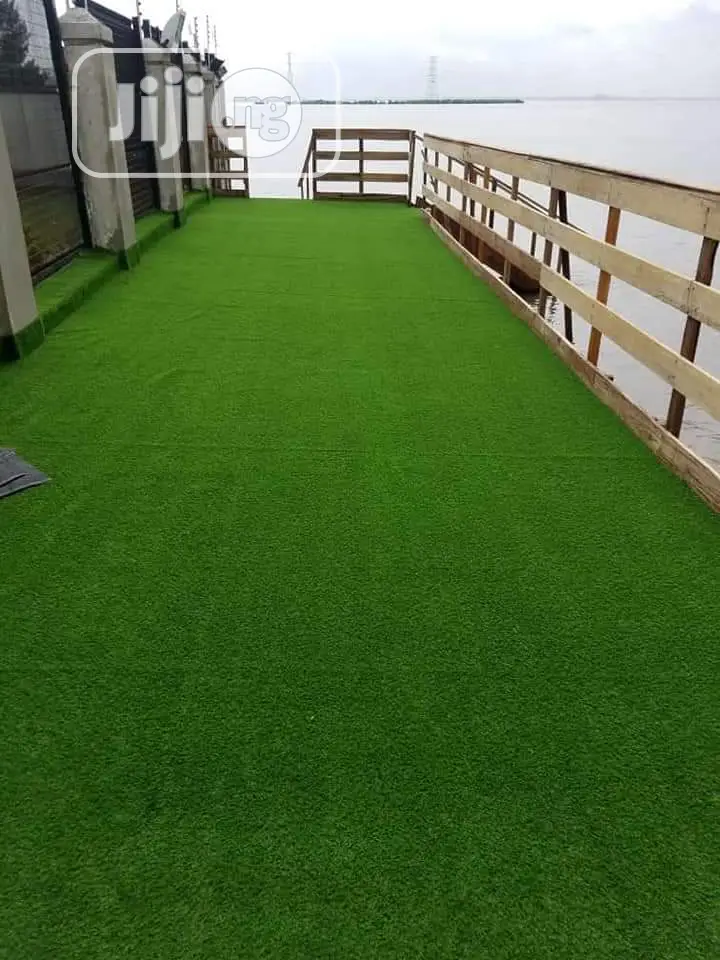 Carpet Grass