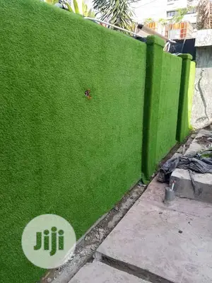 Carpet Grass