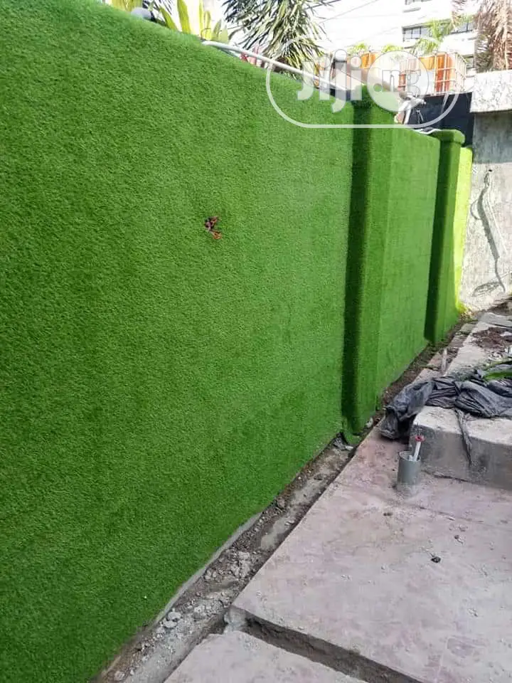 Carpet Grass
