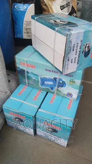 1 Hp Tranfer Pumps