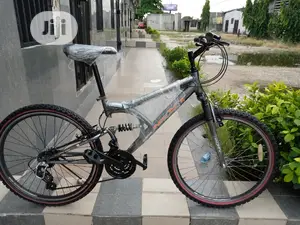 Next Sport Bicycle