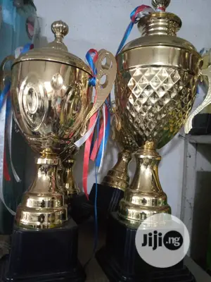 Original Trophy Available at Ejico Sports