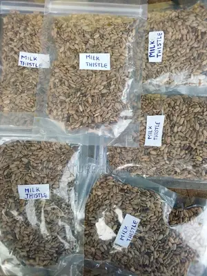Milk Thistle (100 Grm)
