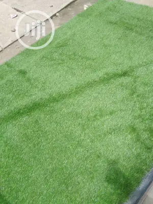 Quality Carpet Grass