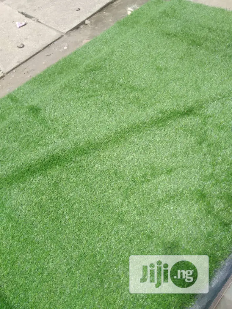 Quality Carpet Grass