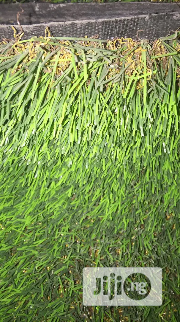 Quality Carpet Grass