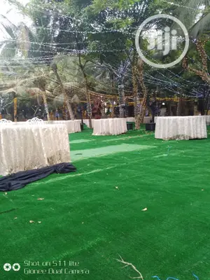 Quality Carpet Grass