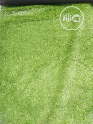 Quality Carpet Grass